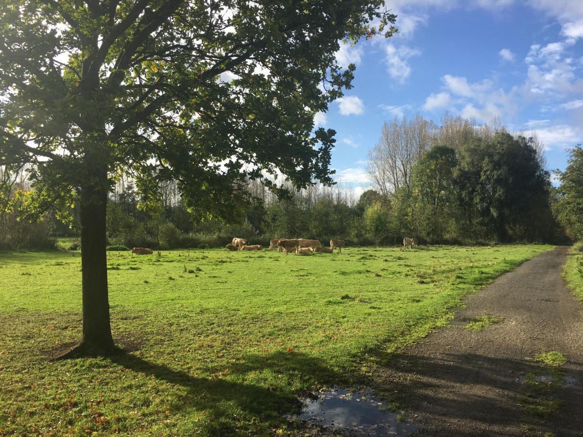 Scheldewegel Vakantiehuis Schelderode Luaran gambar